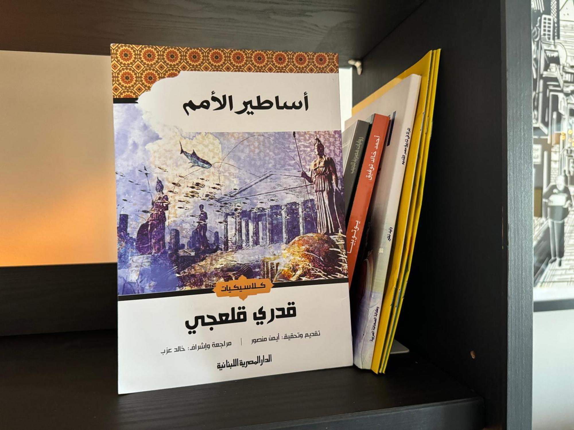 Happy Vacation Duplex, New Cairo Lejlighed Eksteriør billede